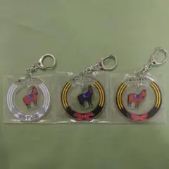 にじさんじ JRA 競馬王決定戦 アクリルキーホルダー にじさんじ 競馬王決定戦 アクリルキーホルダー - メルカリ