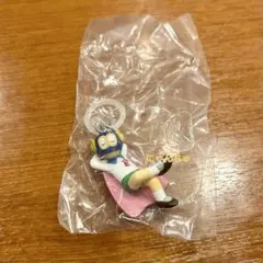【限定】 めじるしアクセサリー