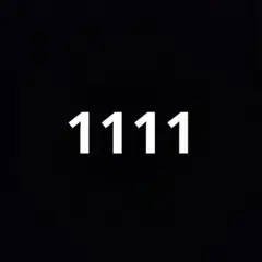1111