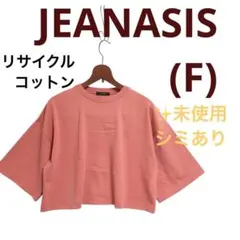 ✨未使用シミあり)ジーナシス　RCBOXショートTEE Tシャツ半袖コットン