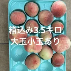 山梨県産桃朝採れはねだし大玉小玉13個入りのサムネイル