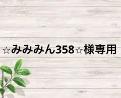 ⭐︎みみみん358⭐︎様専用
