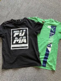 Item thumbnail for item 2aa3abc1-66e1-4086-9b8b-cbb30cb180e2