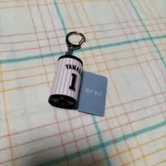 東京ヤクルトスワローズ 山田哲人 フォトクル キーホルダー