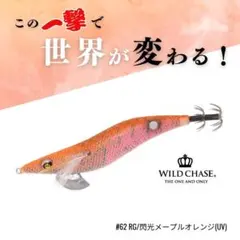 スクイッドマニア　ワイルドチェイス　3.5号　1本のサムネイル