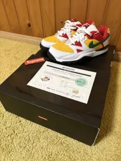 NIKE SUPREME x AIR CROSS TRAINER 3 LOW