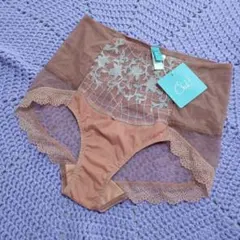 定価約3千円　Chut! INTIMATES ショーツ　田中みな実着用　Mのサムネイル