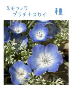 リトルマーサ様 リクエスト 2点 まとめ商品