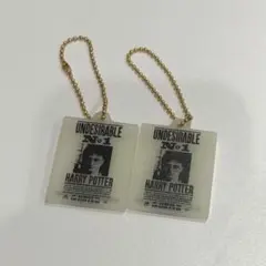 美品★ハリーポッター　アクリルチャームコレクション　セット