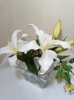 さな様専用【美品】エミリオロバ　EMILIO ROBBA　カサブランカ2L