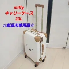 Item thumbnail for item aab69a0e-6b6f-4344-ada3-a9724a4e3b4f