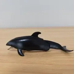 アニア　カマイルカ