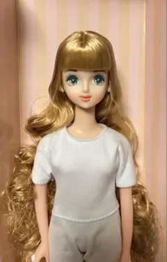 日本橋 BASICモデル たまき　リカちゃん キャッスル　ジェニーフレンドドール