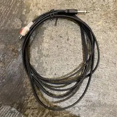 Item thumbnail for item 40524db2-1135-4e88-8b3e-02fd50c69f05