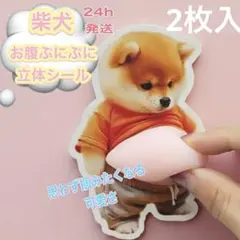 柴犬シール2枚　おなかぷにぷに　立体3D　ぷっくりおなか　いぬステッカー　韓国
