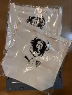 Item thumbnail for item df31bfb5-5343-4a7c-9dc3-72e6e50be8ee