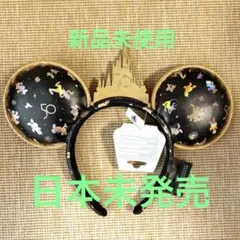 2日間限定出品 D23エキスポ ラウンジフライ アビエイター カチューシャ D23エキスポ ラウンジフライ アビエイターパイロット ドナルド