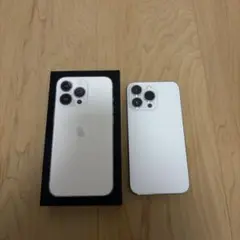 Apple iPhone 13 Pro 本体　ケース付属品付き
