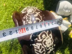 Item thumbnail for item 33449397-8425-45f7-88bc-ff94bc105d04