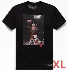 MITCHELL & NESS Chicago Bulls　 Rodmanのサムネイル