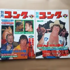 こうじ様専用 全日本女子プロレス35年史 Lady's週刊ゴングSPECIAL