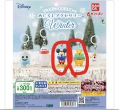 ディズニーWinterめじるしアクセサリー
