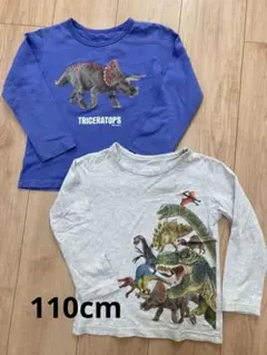 プリント 長袖カットソー 2枚セット 110cm グレー　ブルー