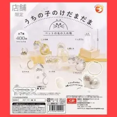 【新品❗️】ガチャ　うちの子猫　けだまだま入れ　キーホルダー　猫