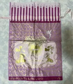 Disney ショップ袋　巾着　ラッピング