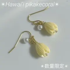 ❤️数量限定❤️ピカケピアス❤️ホワイトパールハワイアンジュエリー✴︎フラダンス