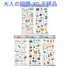 大人の図鑑シール 3D 立体 シマエナガ 大人の図鑑 ステッカー シール 5個