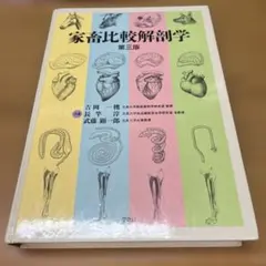 Item thumbnail for item e351dbd0-8eea-42e6-a505-78ea67082ff9