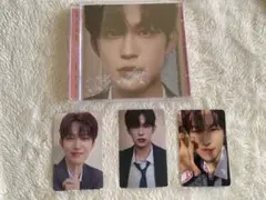 ALPHA DRIVE ONE ALD1 ゴヌ ガオー トレカ