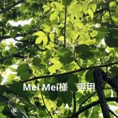 Mei Mei様　専用です