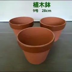 2026年最新】テラコッタ 鉢の人気アイテム - メルカリ