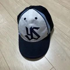 Item thumbnail for item 7b79e18b-4c47-4566-a43d-b66a288b8c4e