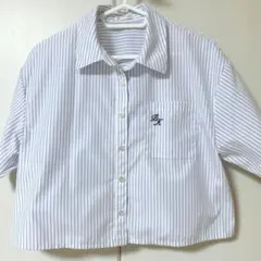 【美品】 半袖　ストライプシャツ　ショート　ハニーズ　Honeys