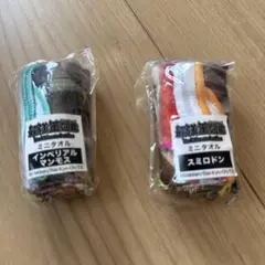 最強王図鑑　ハンカチセット