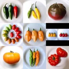 naorin703様 リクエスト 9点 まとめ商品