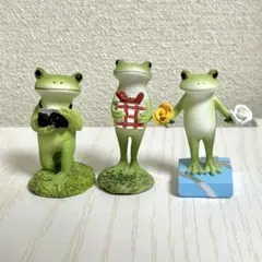 コポー　カエル　カメラマン　プレゼント　バラ