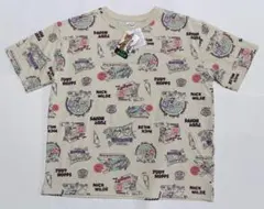 Item thumbnail for item b032dfb2-a8e2-493c-be76-0172218aacbd