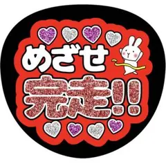 《速達》anya.h様専用ページ♡2枚セット