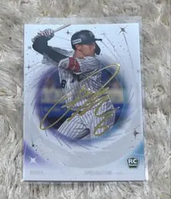 Item thumbnail for item dffc1db1-cd1d-4ffe-ab4b-c338ad425a5f