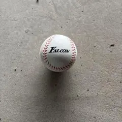 Item thumbnail for item 1d9372b2-a423-4cba-be71-1646bb6ea462