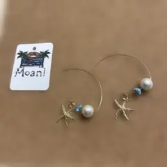 Item thumbnail for item 95d010a1-9512-4ac3-9edf-655edaf22370