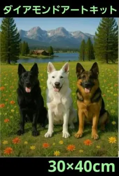 30×40cm3匹のジャーマンシェパード　ダイアモンドアートキット