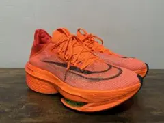 Item thumbnail for item 3c6bd534-8330-4ef2-ab3b-e4477dca5e18