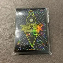 中古【絶版】KMCスーパープリズム 自由の女神 スリーブ1枚 - メルカリ