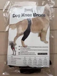 Item thumbnail for item 03de496d-de91-4df9-8d55-1fce89c1b6b8