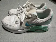 AIRMAX EXCEE ウィメンズ エア マックス エクシー WCD5432